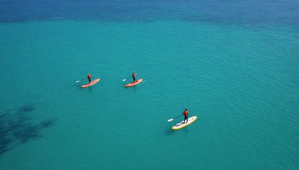 Où faire du paddle à Argelès-sur-Mer en 2026 ?